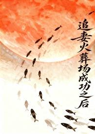 追妻火葬场bi
