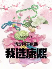 清穿康熙之我是八阿哥