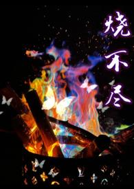 烧不尽回南雀百度