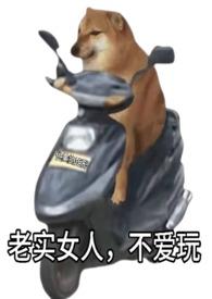 老实的女生好吗?