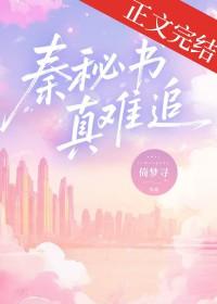 秦谜原著叫什么