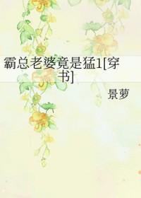 霸总宠妻之路免费阅读