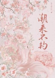 潮来潮去图片