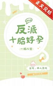 反派十胎好孕番外214