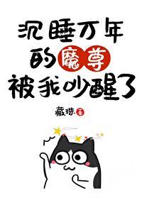 我把魔头醒了 花心者