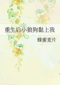 重生hi小狼狗