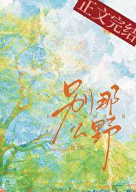 别那么野盘