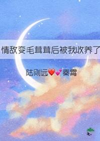 情敌变成情人梗