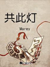 共此灯bymarey讲了什么