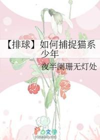 排球少年球服