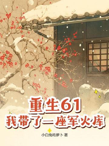 重生61我带了一座军火库百度百科