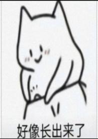 男孩子被玩坏了