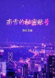 南雪的秘密账号免费阅读最新章
