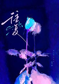 齿轮泵