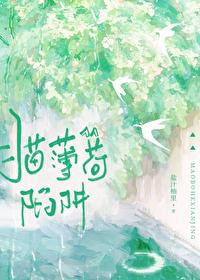 猫薄荷陷阱晋江