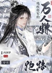 残疾将军捡来的娘子无弹窗