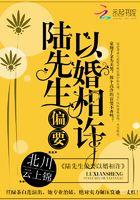 陆先生偏要以婚相许txt久久