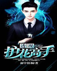 透视高手