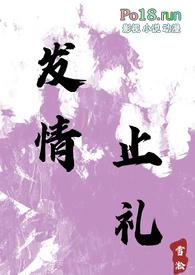 发情止礼全文免费阅读