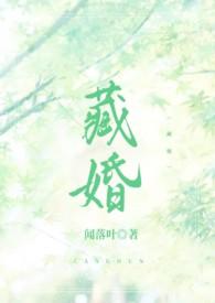 藏婚(先婚后爱)