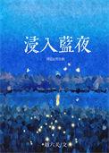 浸入蓝夜越六关TXT