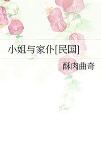 小姐与猫