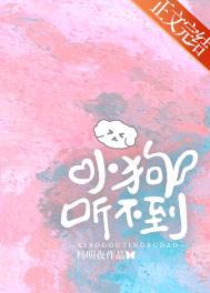 小狗听不到晋江文学城