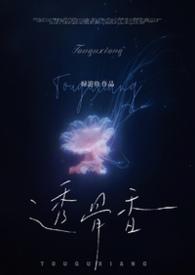 透骨香txt百度