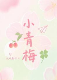 小青梅abo车