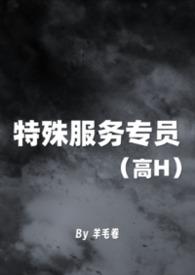 特殊服务具体内容