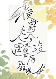 侯爵夫人的肩膀阅读理解