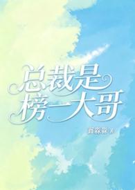 总裁是榜一大哥作者鑫淼淼