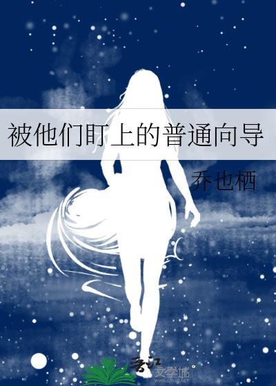 被他们盯上的普通向导 作者乔也栖