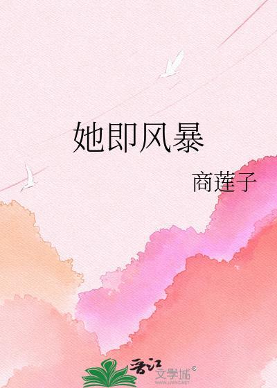 她即风暴免费阅读地址