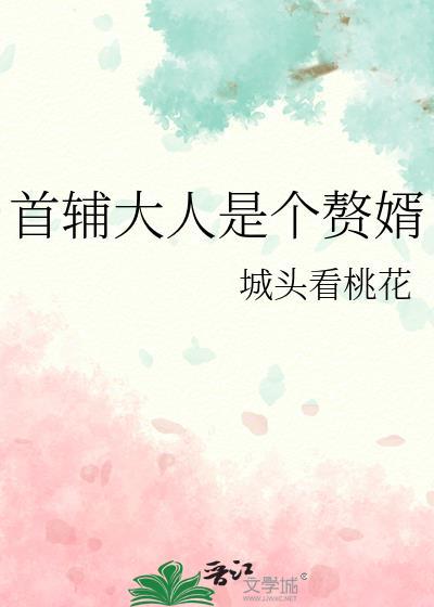 首辅大人是赘婿by城头