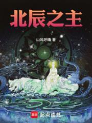 北辰之主TXT免费资源