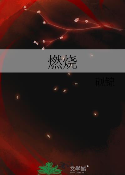 燃烧电视剧演员表