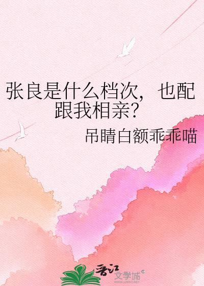 张良是什么关系