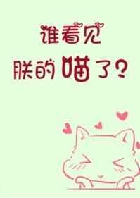 谁看见朕的喵了?晋江