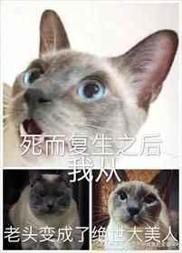 死而复生之后我从老头变成了绝世大美人结局