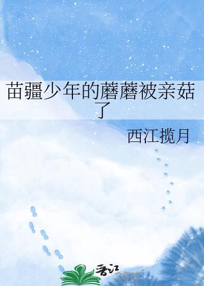 苗疆少年是啥