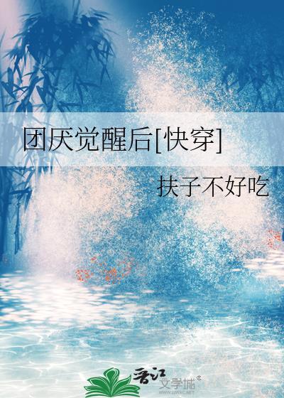 团厌的心声
