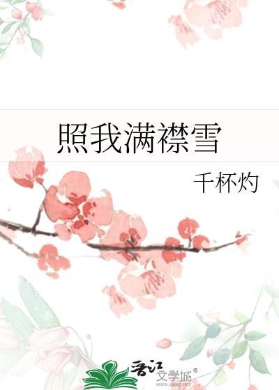 照我满襟雪txt百度资源链接