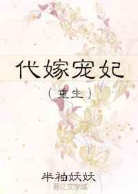 代嫁宠妃讲的什么