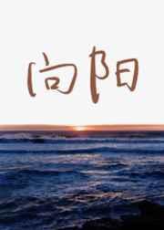 向阳村农贸市场改造提升