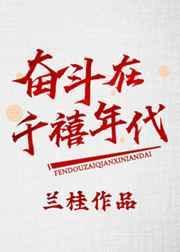 奋斗在八零年代作者银河祁