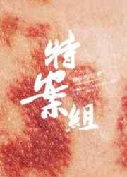 特殊案件调查组vi易容术九