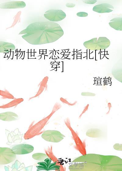 动物世界爱情