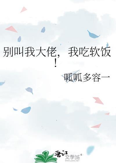 别叫我大佬我吃软饭txt