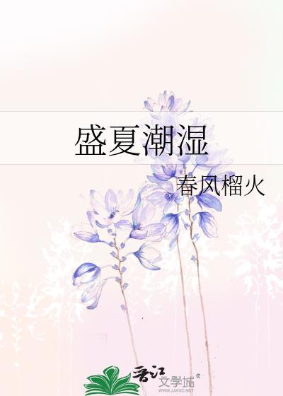 盛夏潮湿TXT